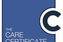 1565953308-care-certificate-logo-final-cropped-300x300