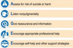 1585750021-algee-mhfa-action-plan-2