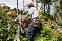 1586177466-forestry-worker